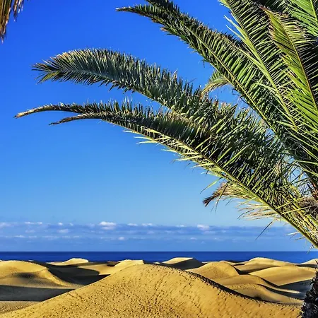 Edison Building 304 By Canariasgetaway * Las Palmas de Gran Canaria